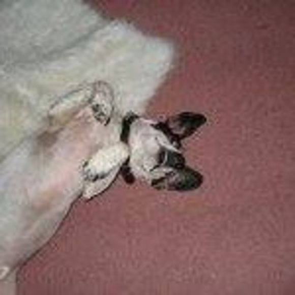 Meet your Posher, Juanita - Picture 1 of 1